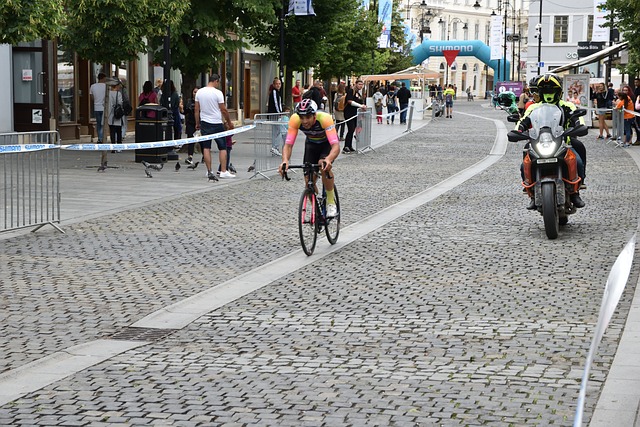 的未来奠定 的未来奠定