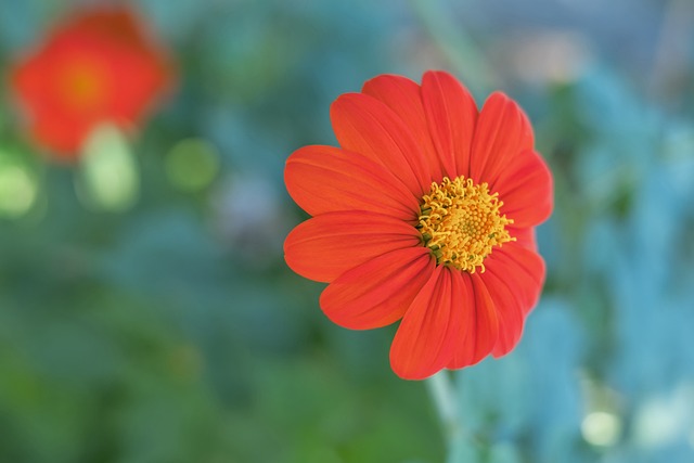 球迷与媒体 球迷与媒体