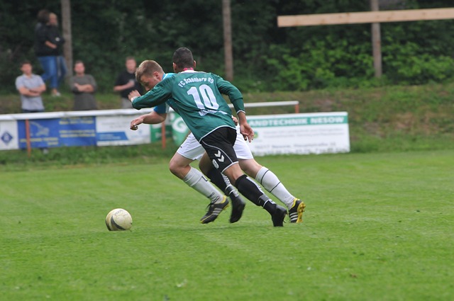 极的促进作 极的促进作