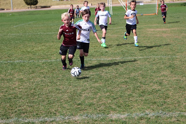 得分和命中 得分和命中