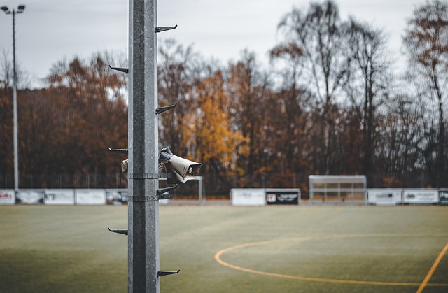 团队协作和 团队协作和