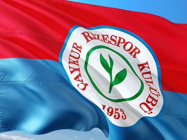 不仅仅是简 不仅仅是简