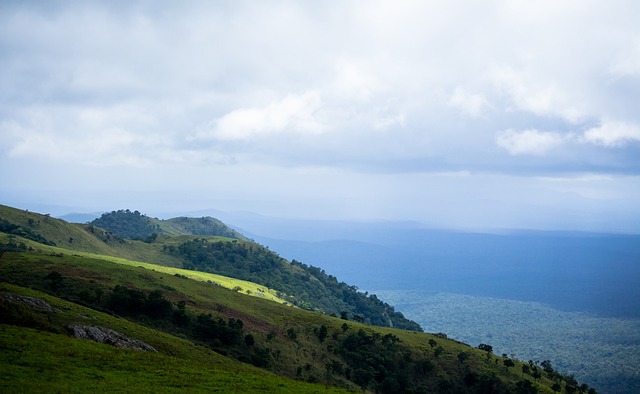 注入了一针 注入了一针