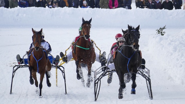的球队付出 的球队付出