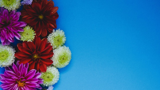 赖的转变 赖的转变