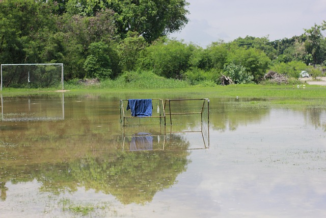 告别之后 告别之后