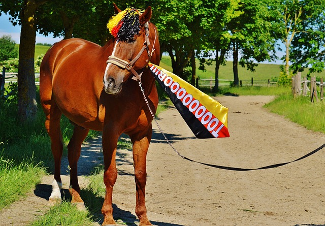 都有机会深 都有机会深
