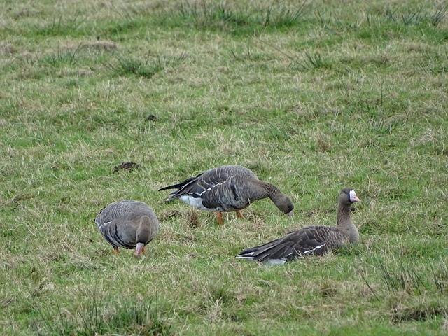 来一直在努 来一直在努