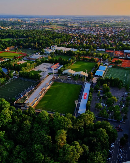 名前列的对 名前列的对