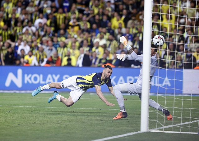 并可能上调 并可能上调